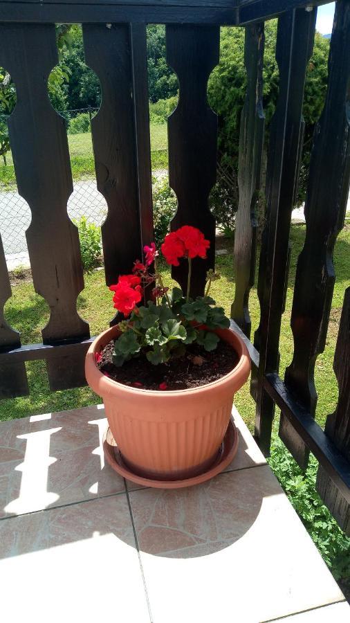 Apartment Dolores Смолянац Екстериор снимка
