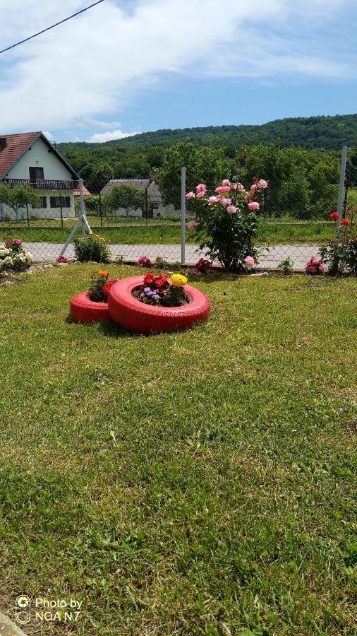 Apartment Dolores Смолянац Екстериор снимка