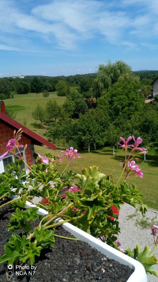 Apartment Dolores Смолянац Екстериор снимка